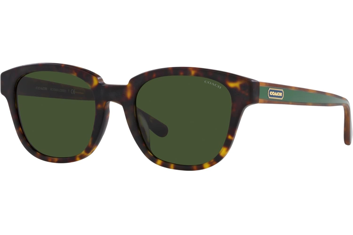 COACH Sunglasses 0HC8340U 512071 53