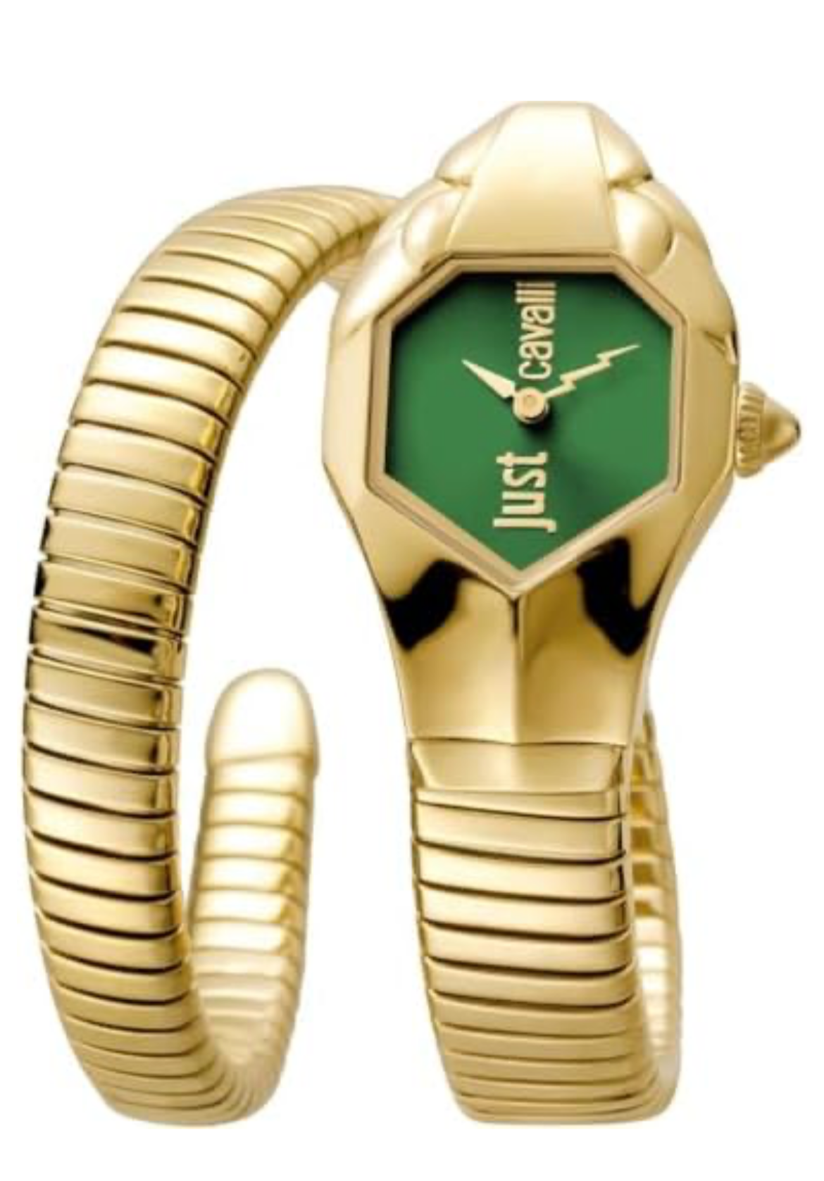 Just Cavalli Women Snake Watch