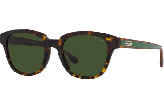 COACH Sunglasses 0HC8340U 512071 53