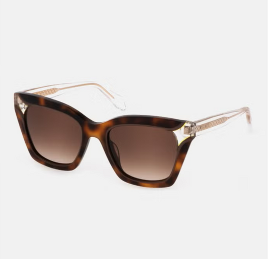 Just Cavalli Women's Butterfly Shape Acetate Sunglasses SJC024V5209AJ